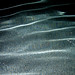 Charles Shelley Photo 8