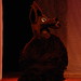 Deborah Perez Photo 20