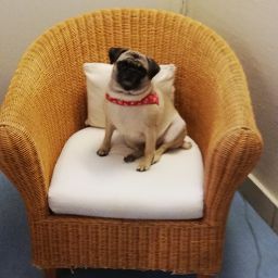 Christine Morgenstern Photo 6