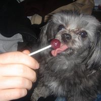 Sammy Short Photo 20