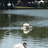 Beverly Mckinney Photo 11