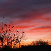 Paula Askins Photo 2