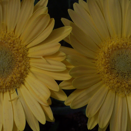 Stephanie Watts Photo 40 Stephanie Watts Photo 40