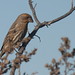 Steven Finch Photo 11