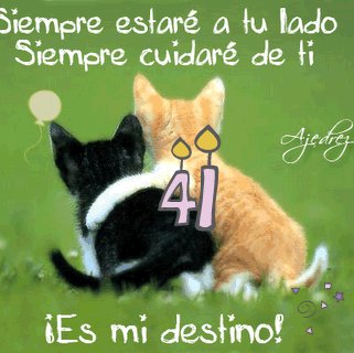 Tony Martinez Photo 19 Tony Martinez Photo 19