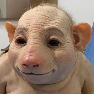 Dave Taylor Photo 33