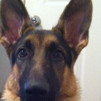 Percy Carter Photo 9