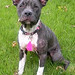 Judith Sparks Photo 6
