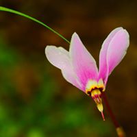 Elaine Stanley Photo 13