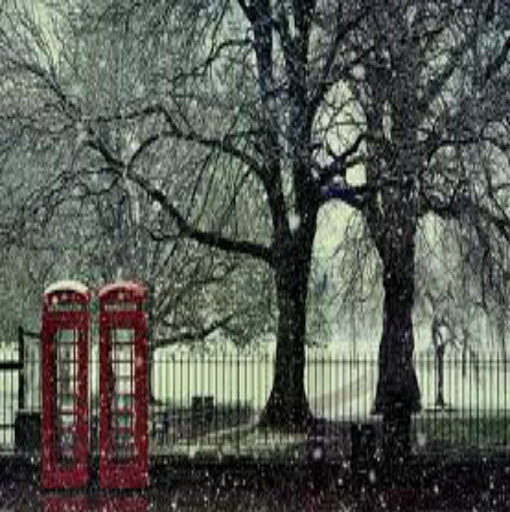 Alyssa Knowles Photo 6