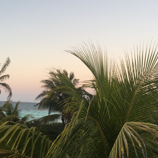 Sarah Mcgill Photo 23