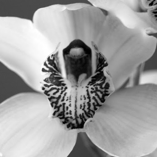 Amy Ingram Photo 28 Amy Ingram Photo 28