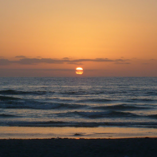 Megan Chapman Photo 37 Megan Chapman Photo 37