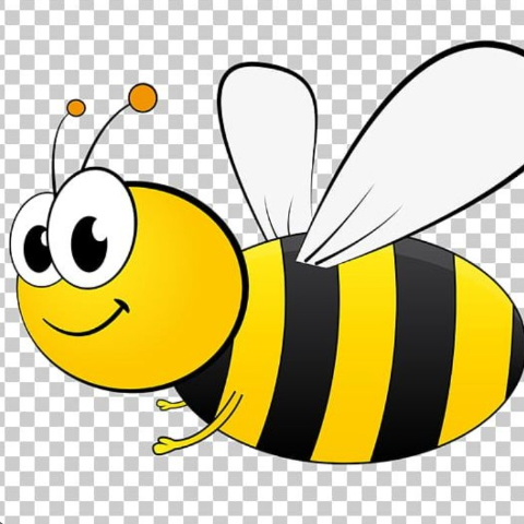 Melissa Mcdowell Photo 15