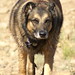 Shawn Prosser Photo 20
