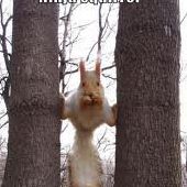 Thomas Rust Photo 24 Thomas Rust Photo 24