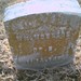 William Mcbride Photo 28