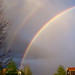 Joel Hubbard Photo 20