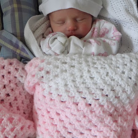 Nikki Sutton Photo 39