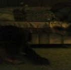 Joseph Crouse Photo 10