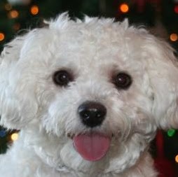 Vicki Briggs Photo 29