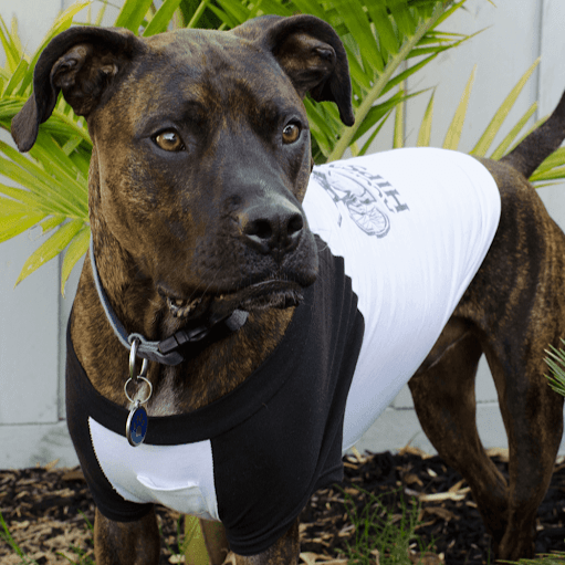 Robert Pitman Photo 18