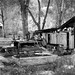Randall Wolfe Photo 25