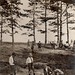 William Peek Photo 28