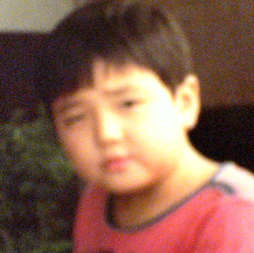 Peter Yeung Photo 6