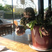 Joan Wilkinson Photo 17
