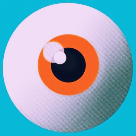 Laurence Webb Photo 15