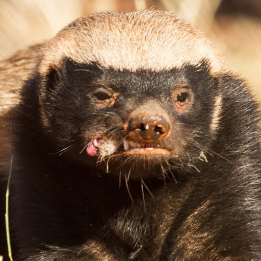 Robin Dunn Photo 32 Robin Dunn Photo 32