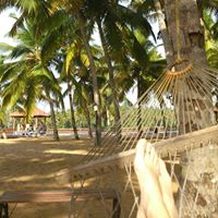 Robin Mcadoo Photo 4