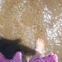 Aimee Wickham Photo 9