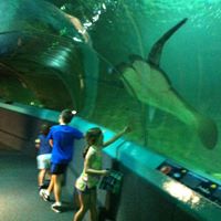 Tony Smallwood Photo 10