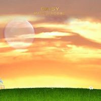 Stephanie Saul Photo 23