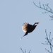 Jay Quick Photo 17