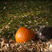 Larry Winer Photo 11