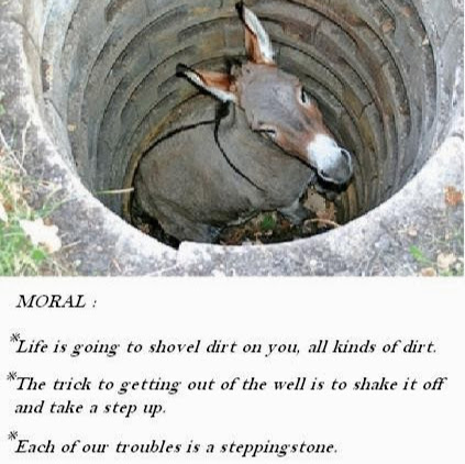 Virginia Mejia Photo 10