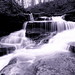 Dan Maclaughlin Photo 5