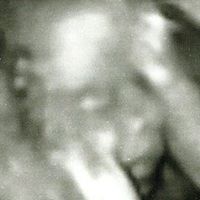 Kevin Leavitt Photo 10