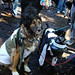 Amy Tompkins Photo 35
