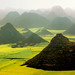 Ping Lo Photo 8