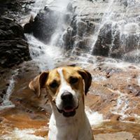 Christine Fortin Photo 5