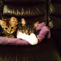 Sue Rodriguez Photo 13