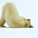 Jason Steele Photo 18