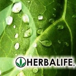 Stephanie Lowry Photo 35