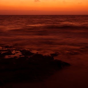 Marty Richardson Photo 12