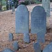 Ellen Wright Photo 37