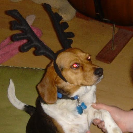 Michael Brannon Photo 35